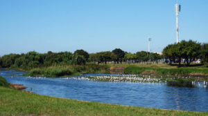 The Observatory Civic Association (OCA) has been trying to stop construction at the River Club site pending a legal battle over development approvals. Picture: Ian Landsberg/Independent Newspapers